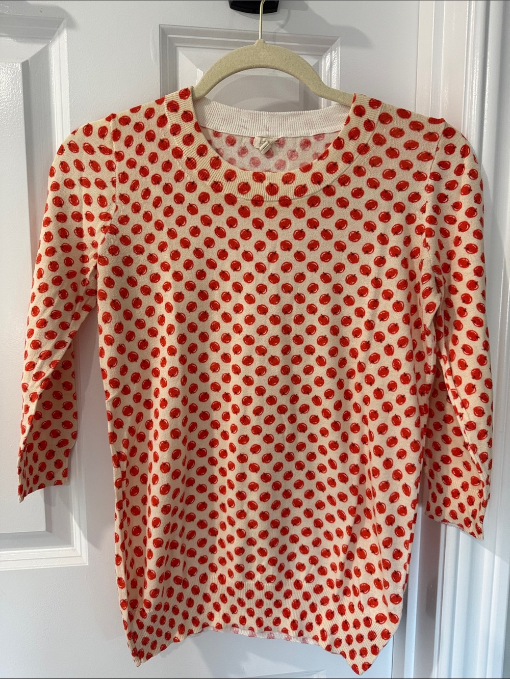 J. Crew Cream Sweater with Red Apple Print